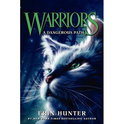 Rising Storm (Warriors (Erin Hunter) #4) (Prebound)