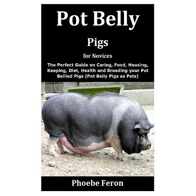 Pig Breeds The Pot Bellied Pig 10 Things To Know About Having A
