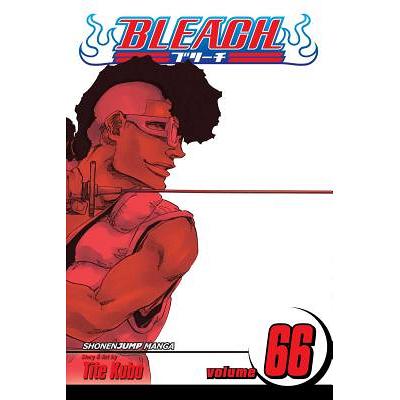 Bleach Box Set 2: Volumes 22-48 with Premium | Tite Kubo 