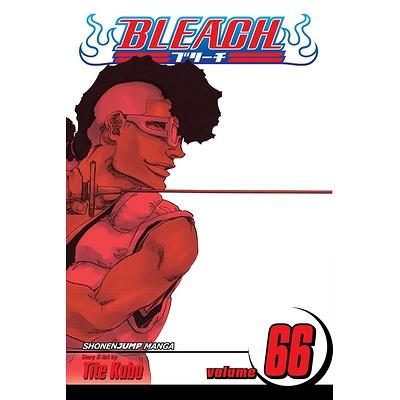 Bleach Box Set 2: Volumes 22-48 with Premium | Tite Kubo 