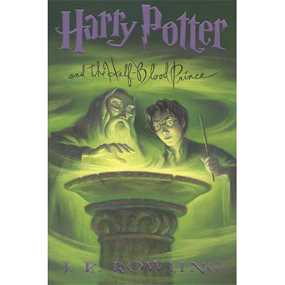 Destroy the Horcruxes (Official Harry Potter Activity Book)