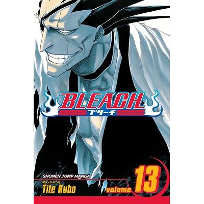  Bleach Box Set (Vol. 1-21): 9781421526102: Tite Kubo, Tite  Kubo: Books