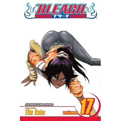 Bleach, Vol. 47 by Tite Kubo