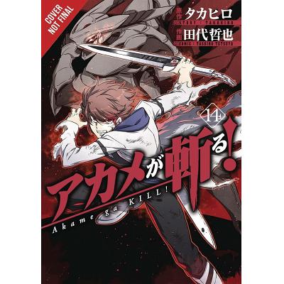 Akame ga Kill! Vol. 4 Review